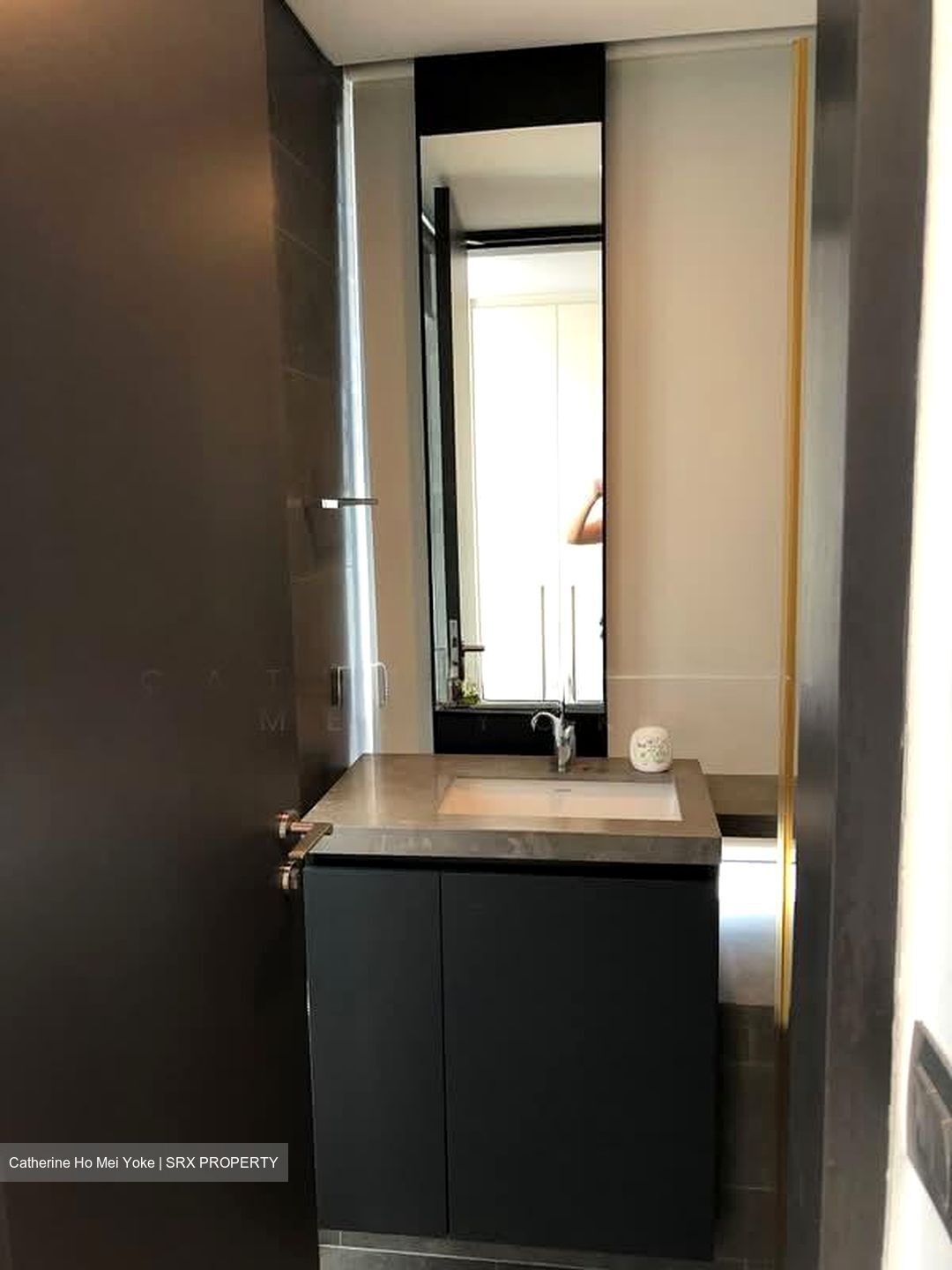 Skysuites@Anson (D2), Apartment #529279331